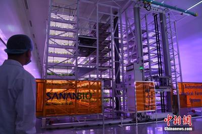 走進(jìn)智能植物工廠 無(wú)土無(wú)陽(yáng)光如何借數(shù)據(jù)處理培育美味佳肴